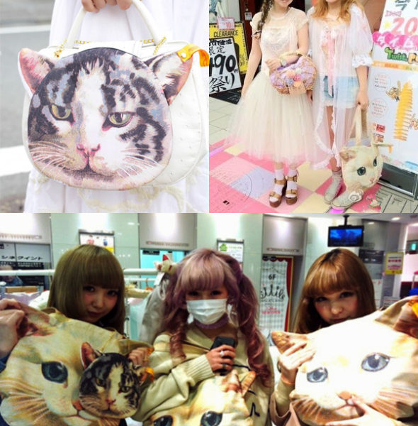 Cat Multi