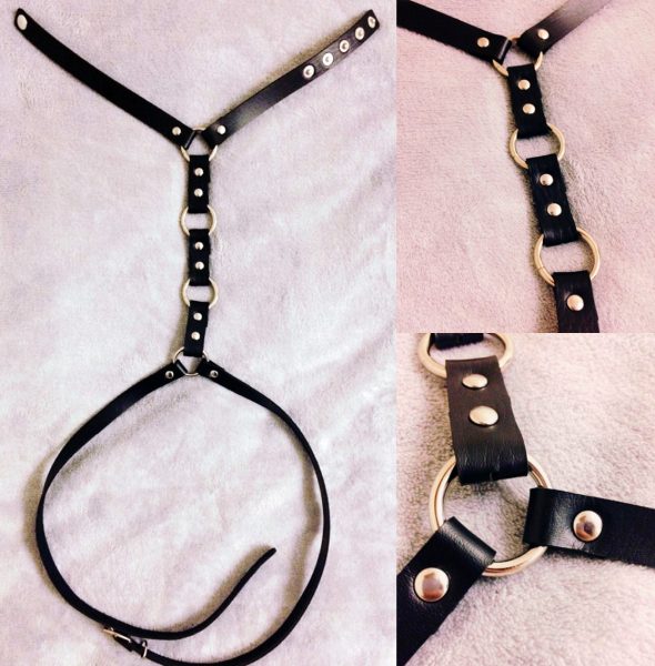 y-shaped-harness