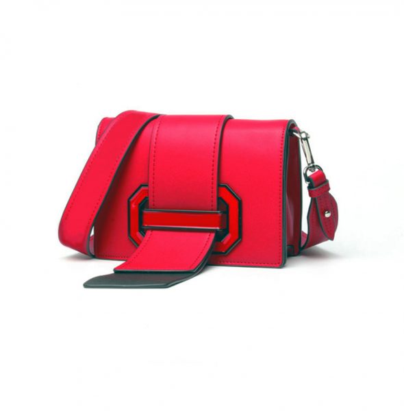 RED RIBBON BAG 4